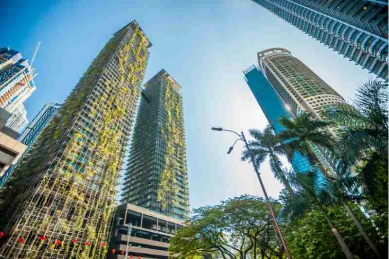 Biomimetic Architecture: Energy Efficiency Inspired by Nature