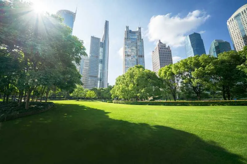 What Is a Greener Community? + How It Helps Sustainability